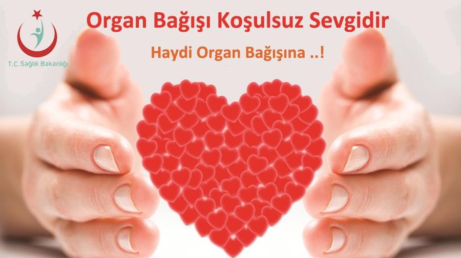 Organ Bağışı Yeni Bir Hayattır